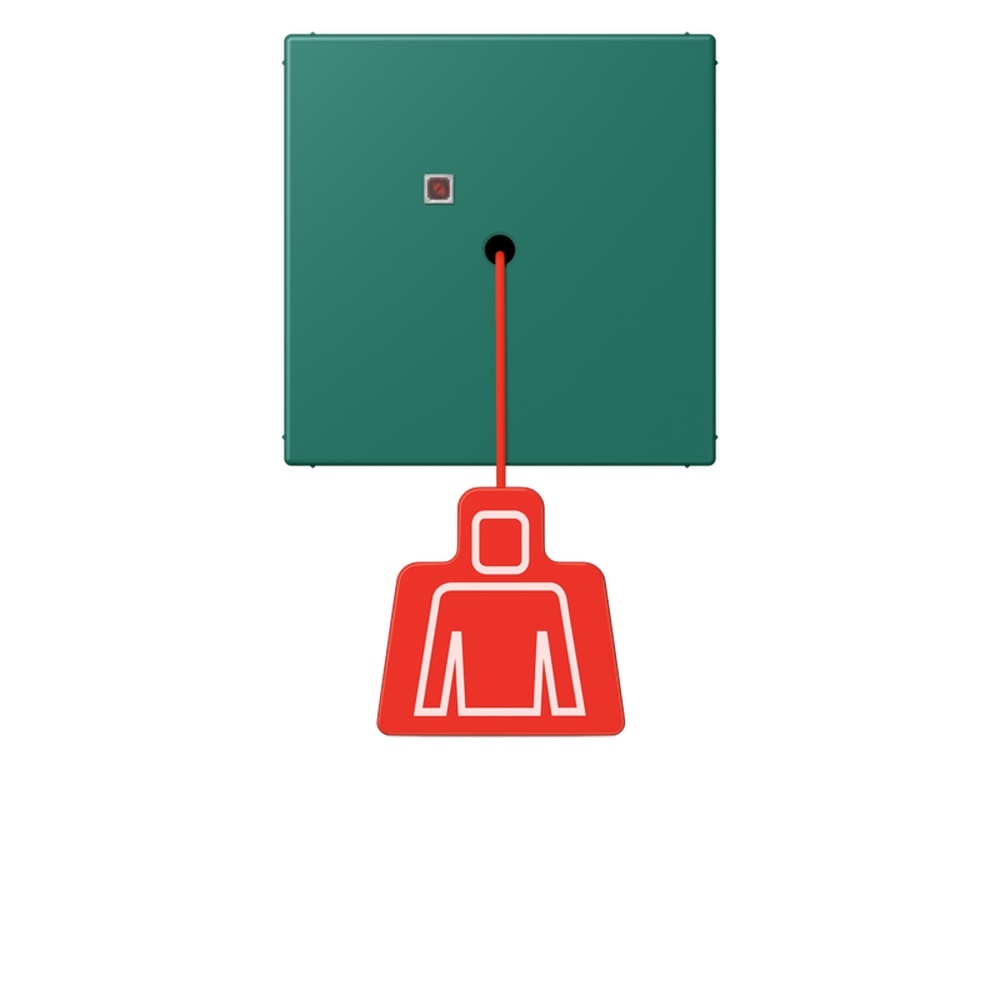 Jung Notrufsystem Zugtaster NRSLC0834ZT216