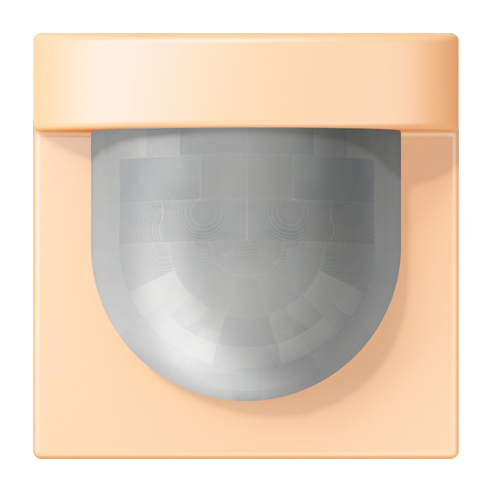 Jung Management Bewegungsmelder LC17280223