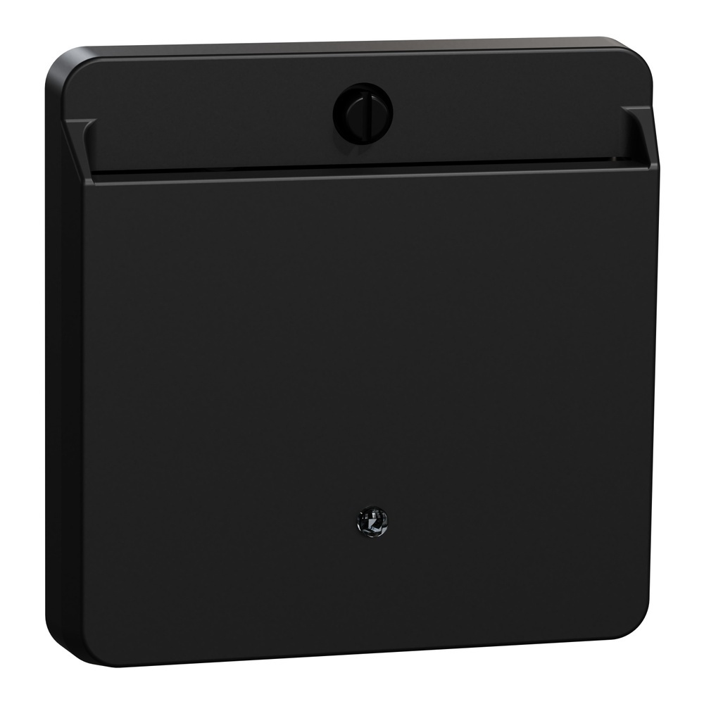 Merten Card Schalter MEG3854-0403