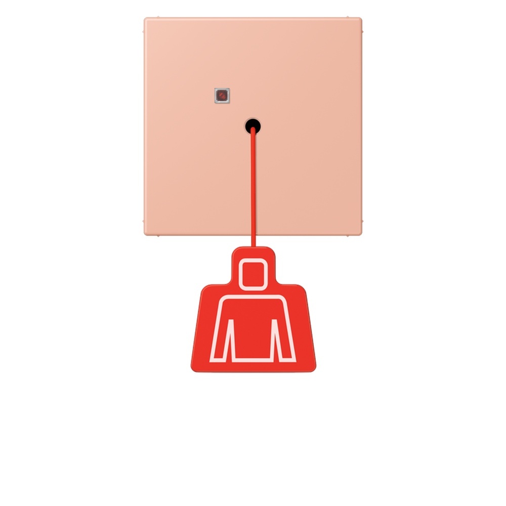 Jung Notrufsystem Zugtaster NRSLC0834ZT231