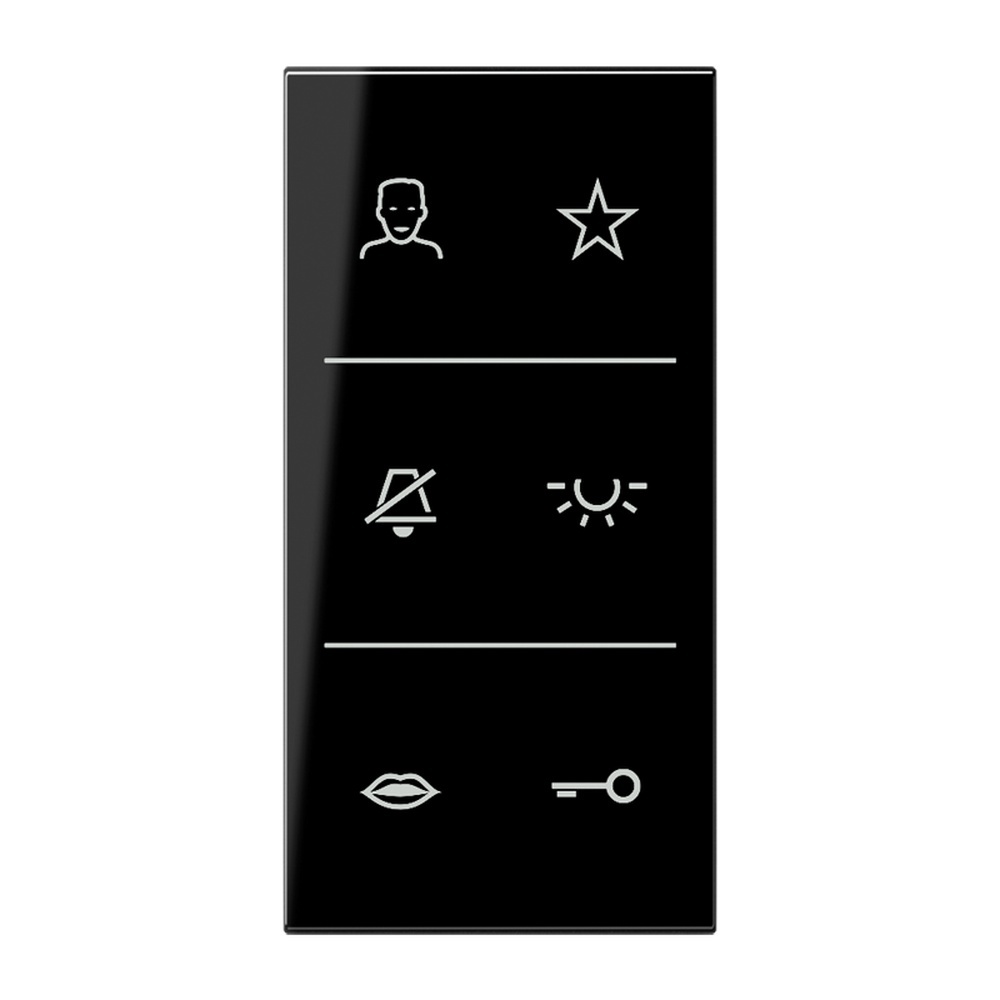 Jung Design-Cover Audio Symbole SI V6 LS DC SW
