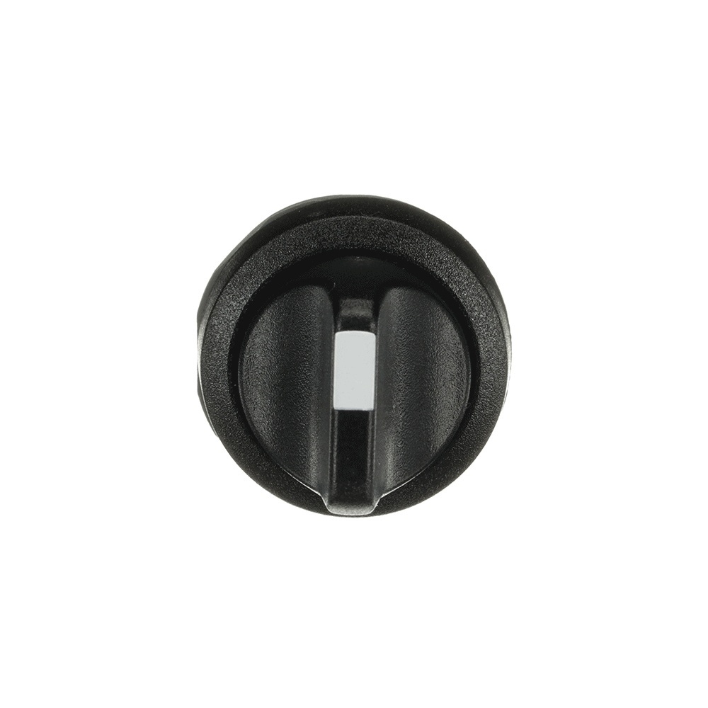 ABB Frontelement für Wahlschalter 1SFA611211R1006 Typ M3SS2-10B