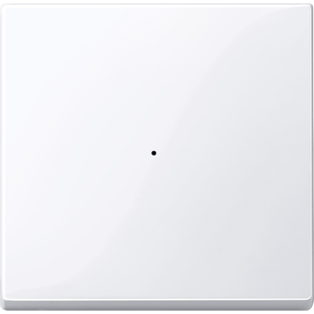 Merten Wippe 619125