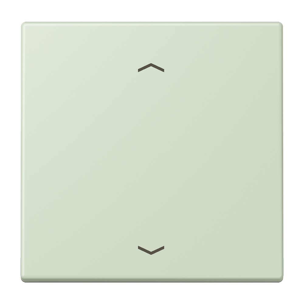 Jung Management Taster 1fach LC1700P218