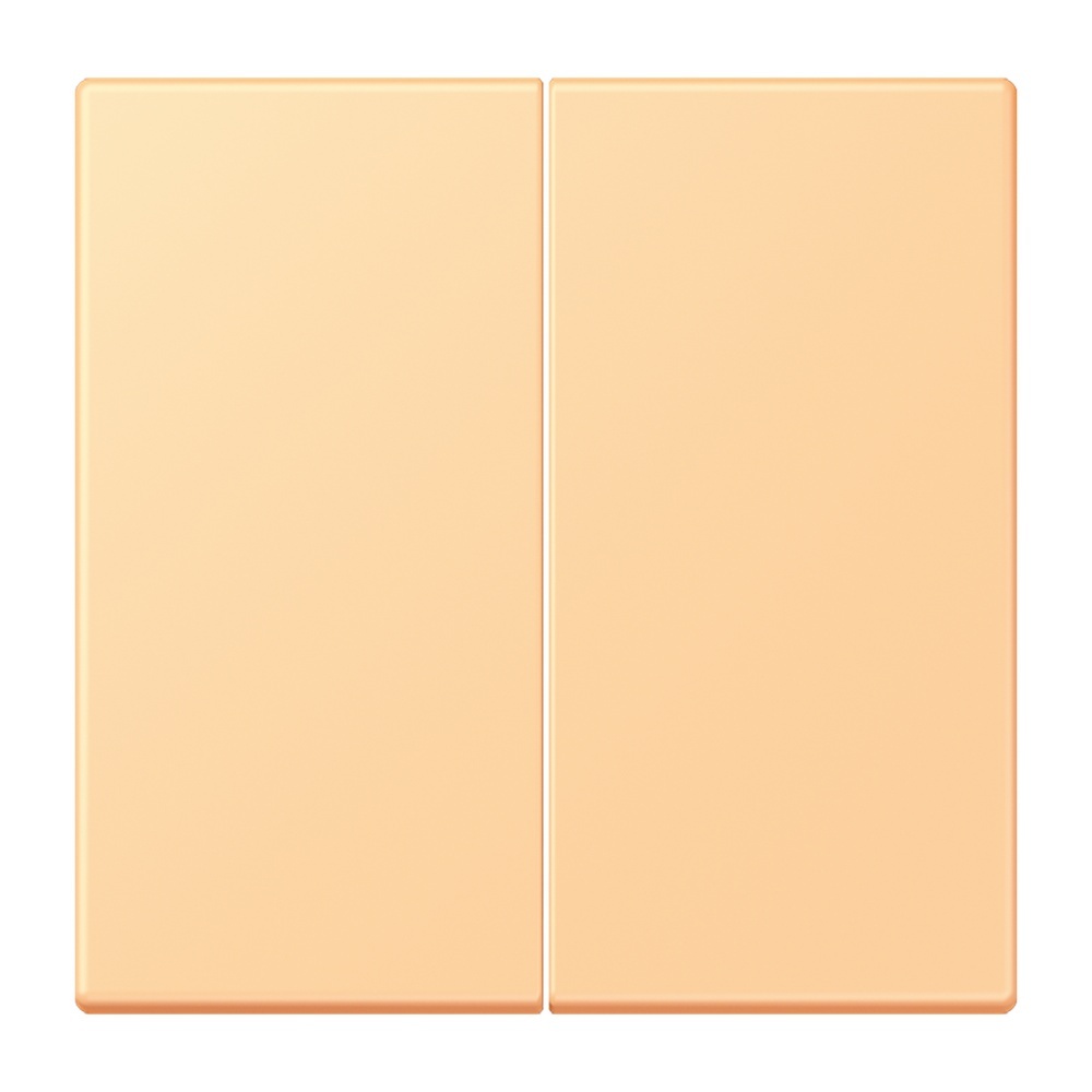 Jung Management Taster 2fach LC1702258