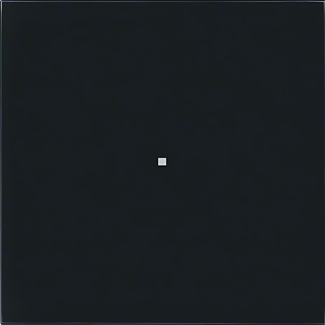 Berker Tastsensor 75161092 Berker Tastsensor 75161092