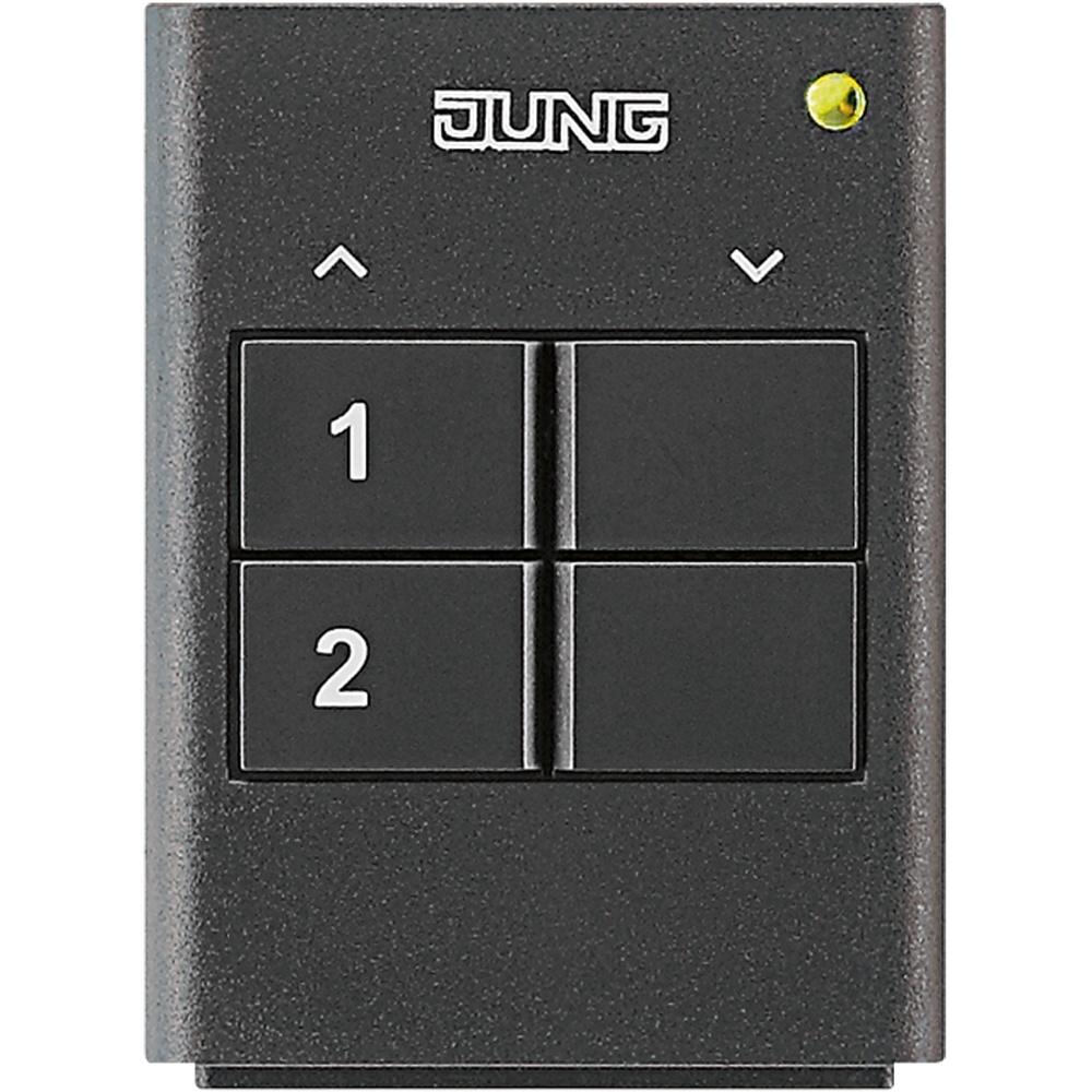 Jung Funk Handsende HS 2 RF