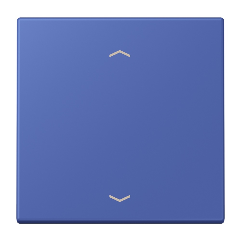 Jung Management Taster 1fach LC1700P206