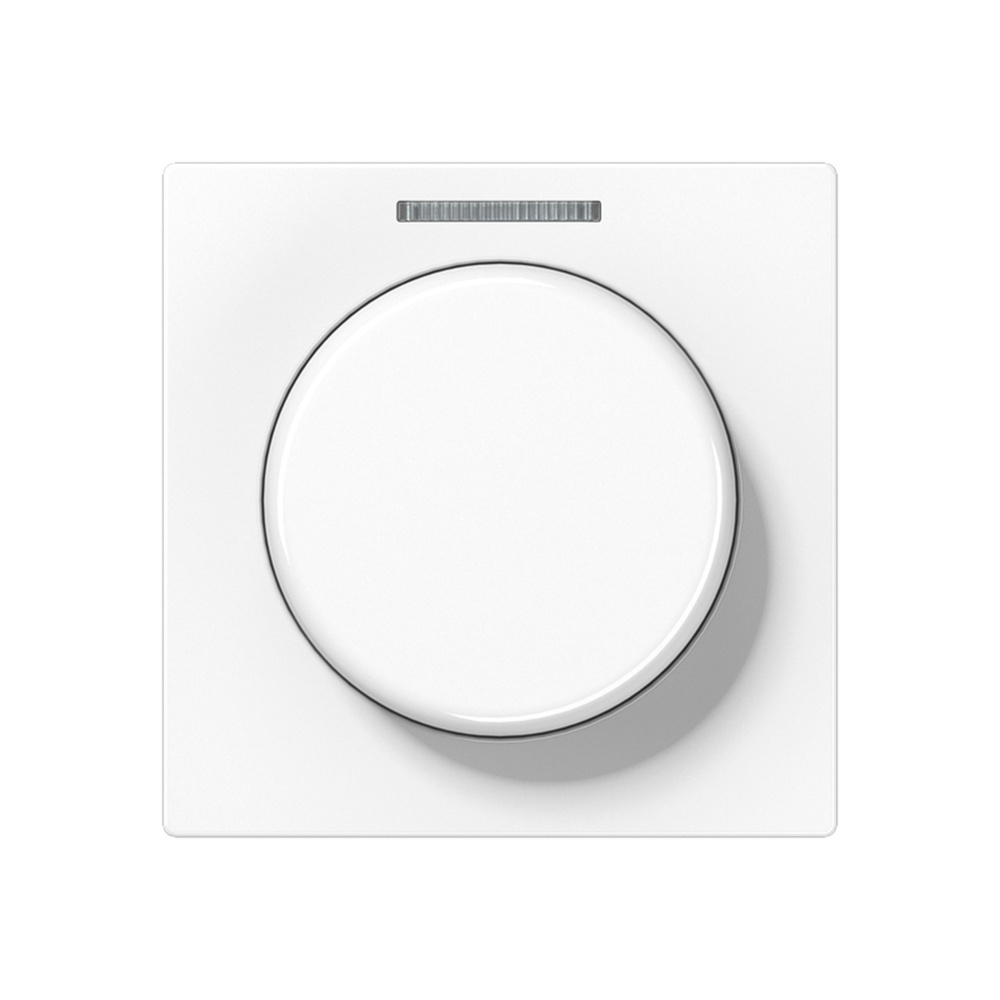 Jung Abdeckung Lichtleiter A 1540 BF KO5 WW