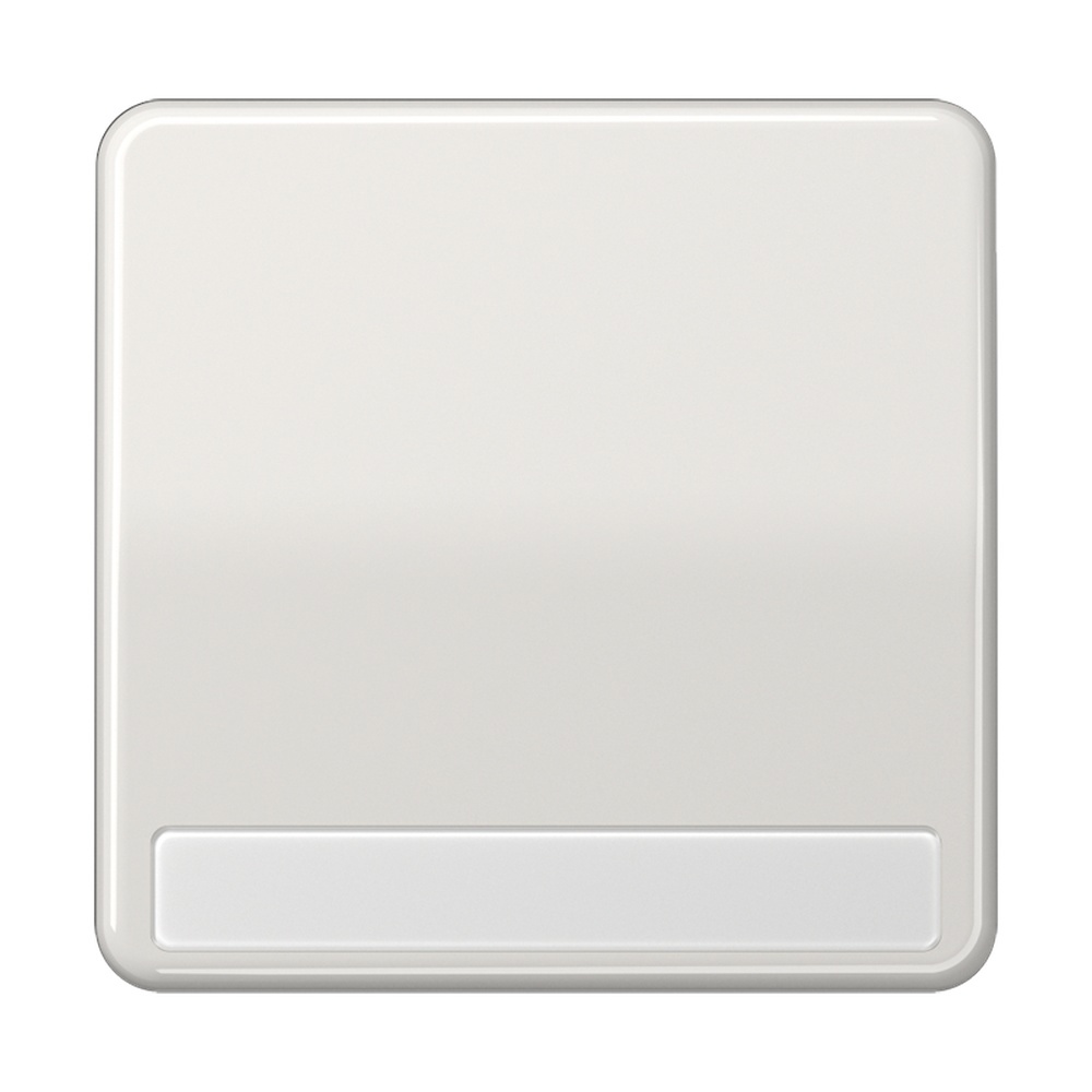 Jung Wippe CD 590 NA LG