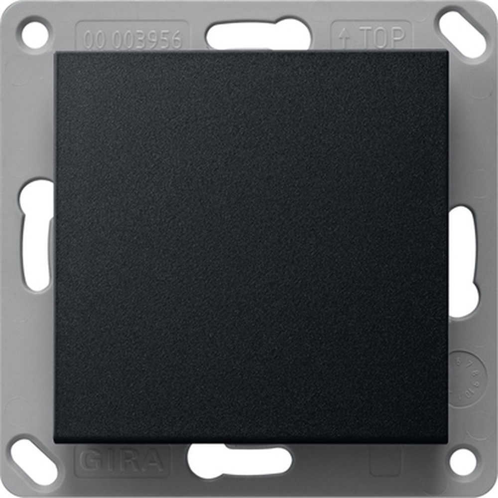 Gira BT Wandsender 2461005