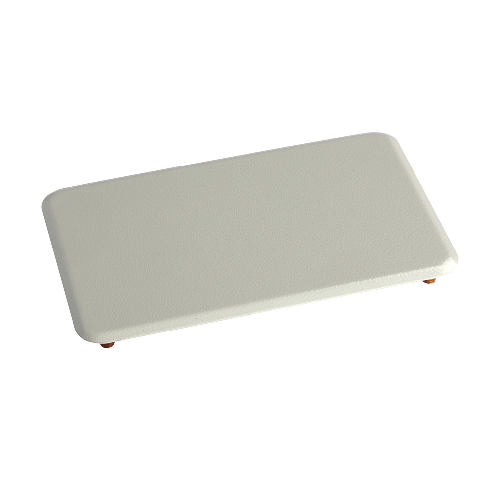 Schneider Electric Abdeckplatte NSYRP2