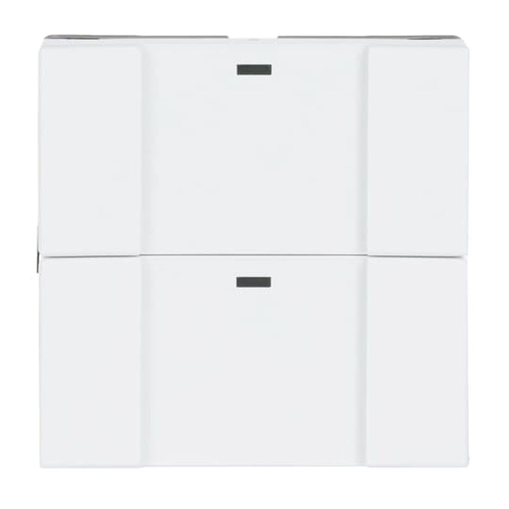 Busch-Jaeger Wandsender 6732-84 Nr. 2CKA006730A0055
