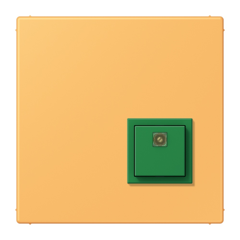 Jung Notrufsystem Abstelltaster NRSLC0834AT254