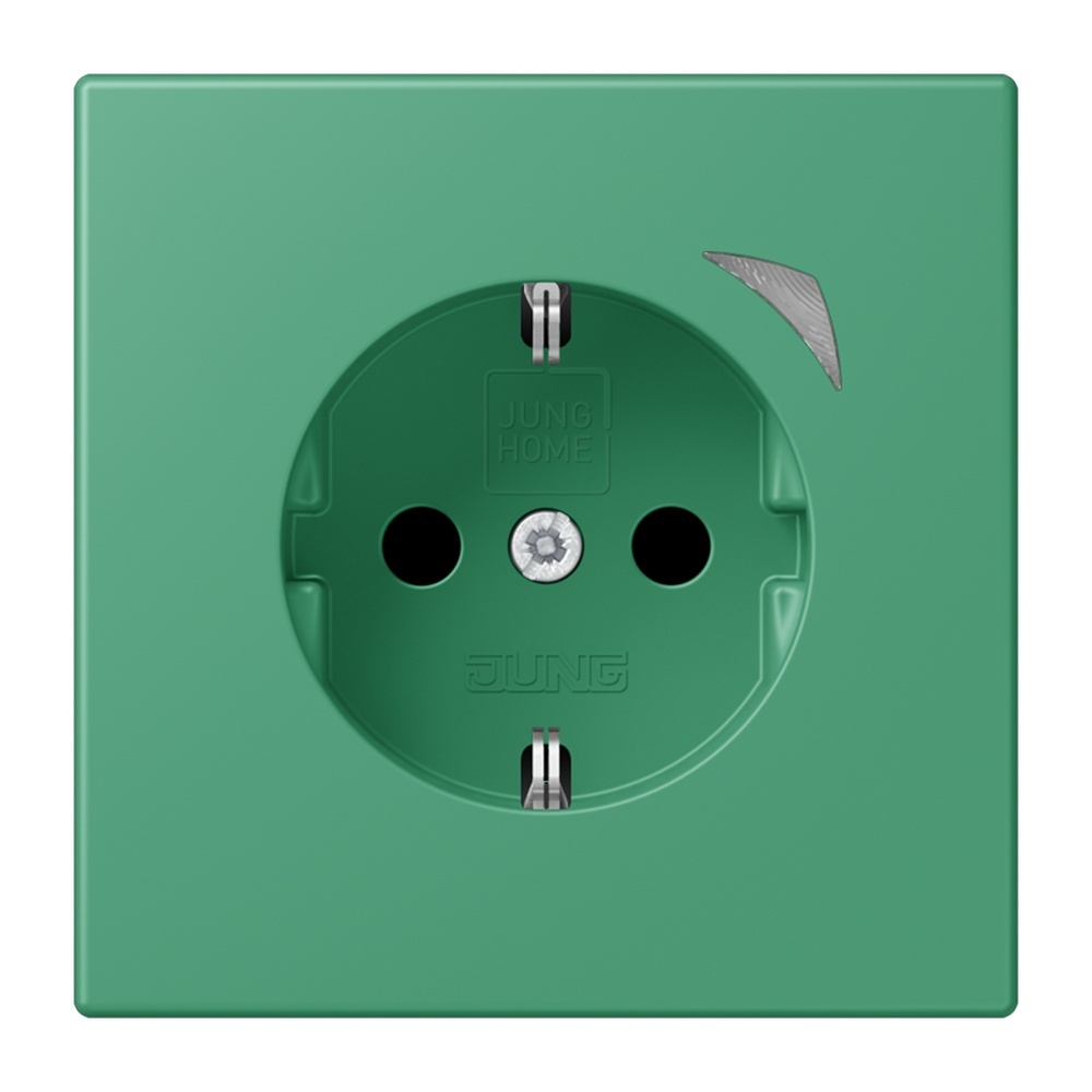 Jung JUNG HOME SCHUKO Steckdose BTLC1521SE250