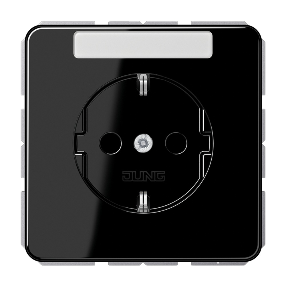 Jung Schutzkontakt Steckdose CD 1520 NA SW