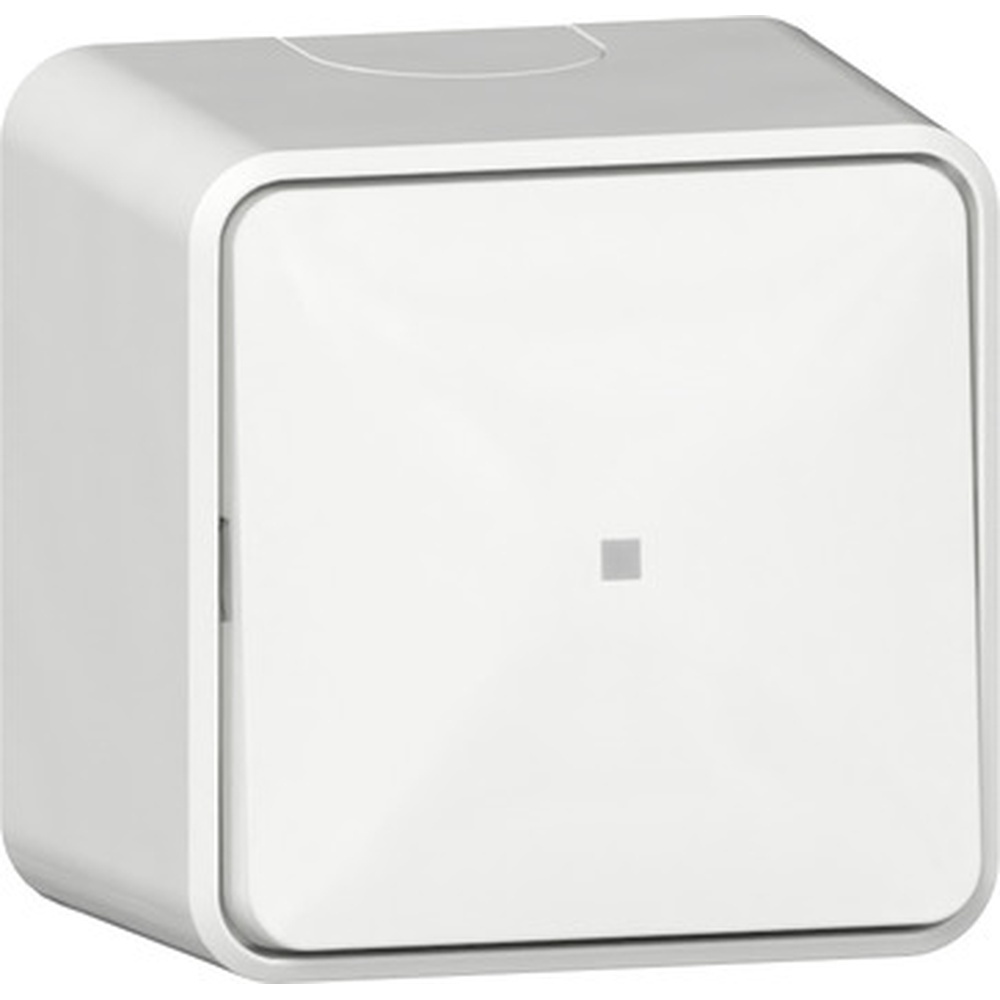 Gira Wipp Kontrollschalter 311613