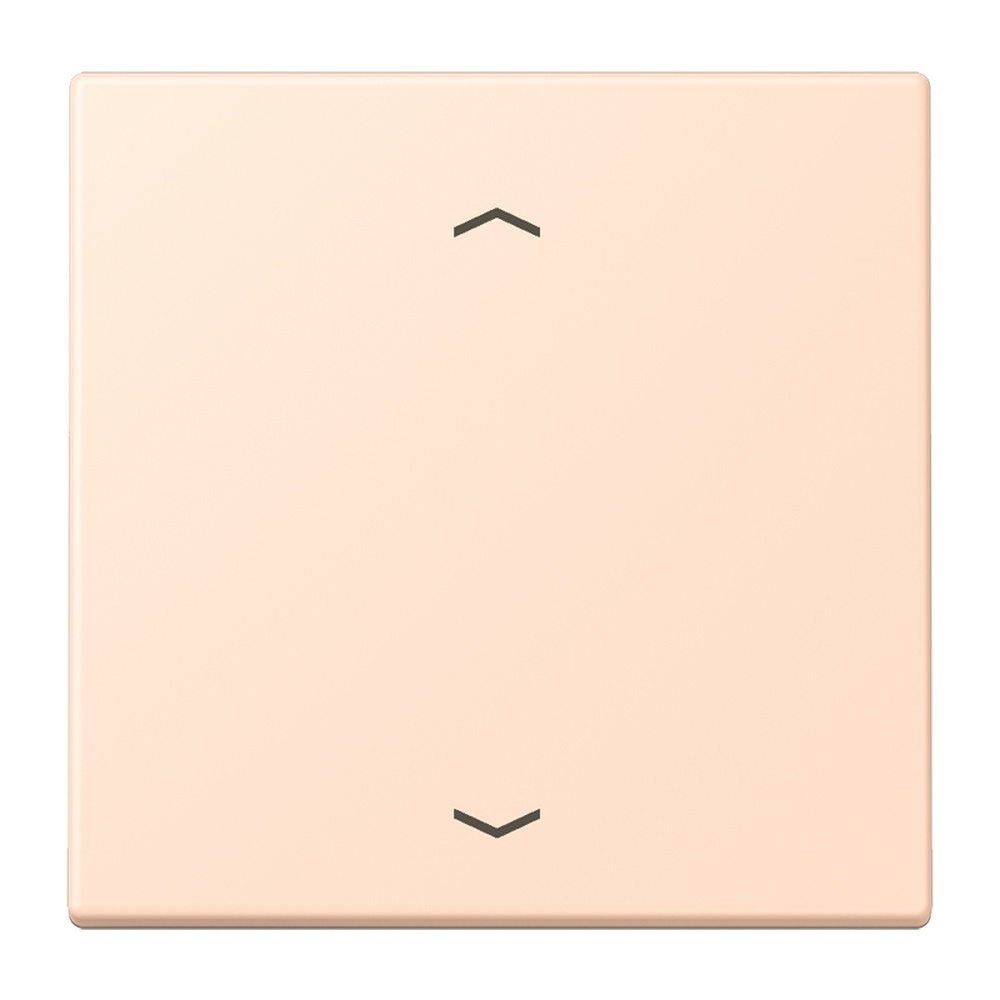 Jung Management Taster 1fach LC1700P228