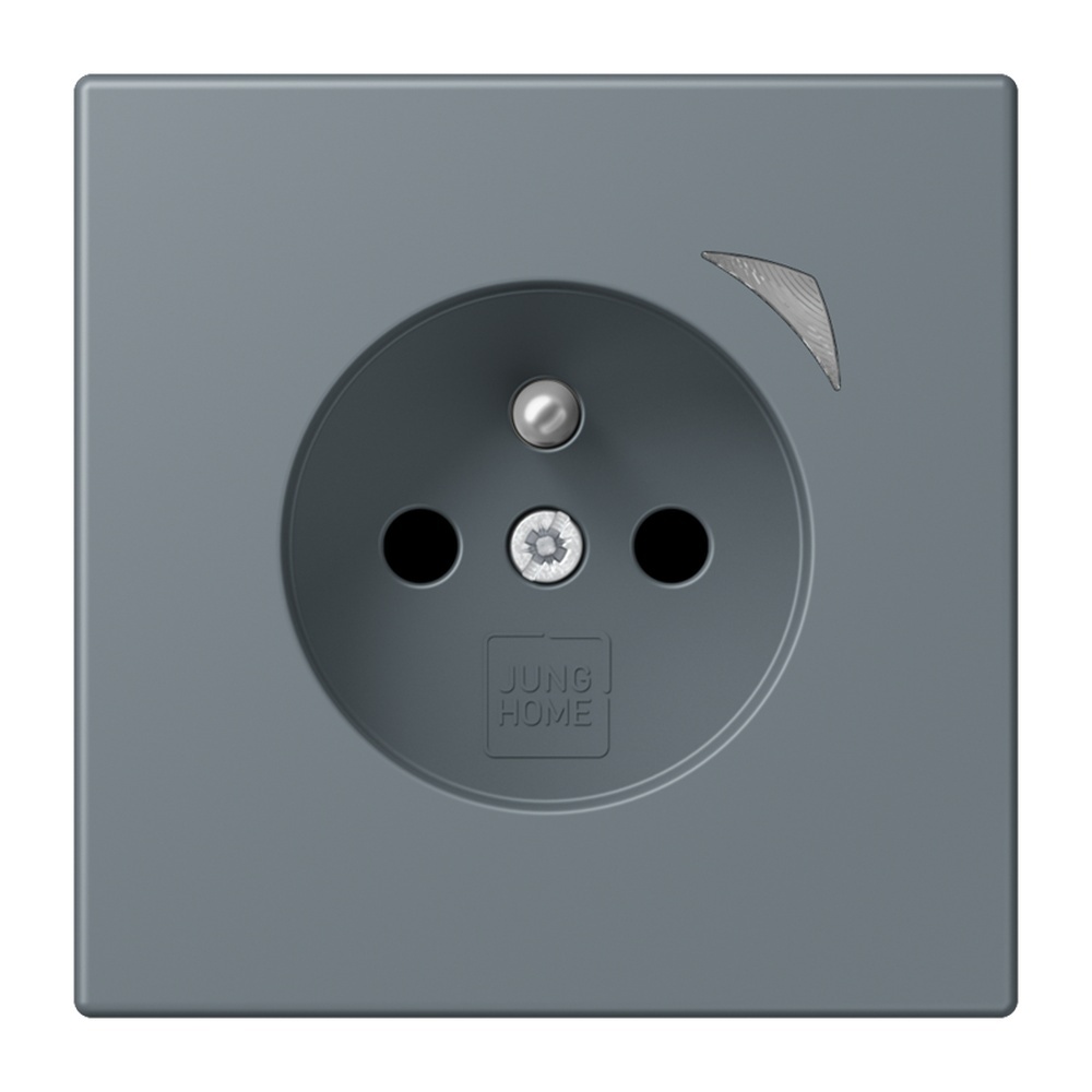 Jung Steckdose BTLC1521FS251