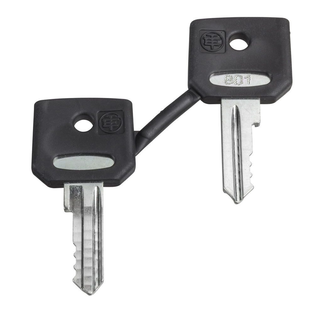 Schneider Electric Ersatzschlüssel ZBD8D1
