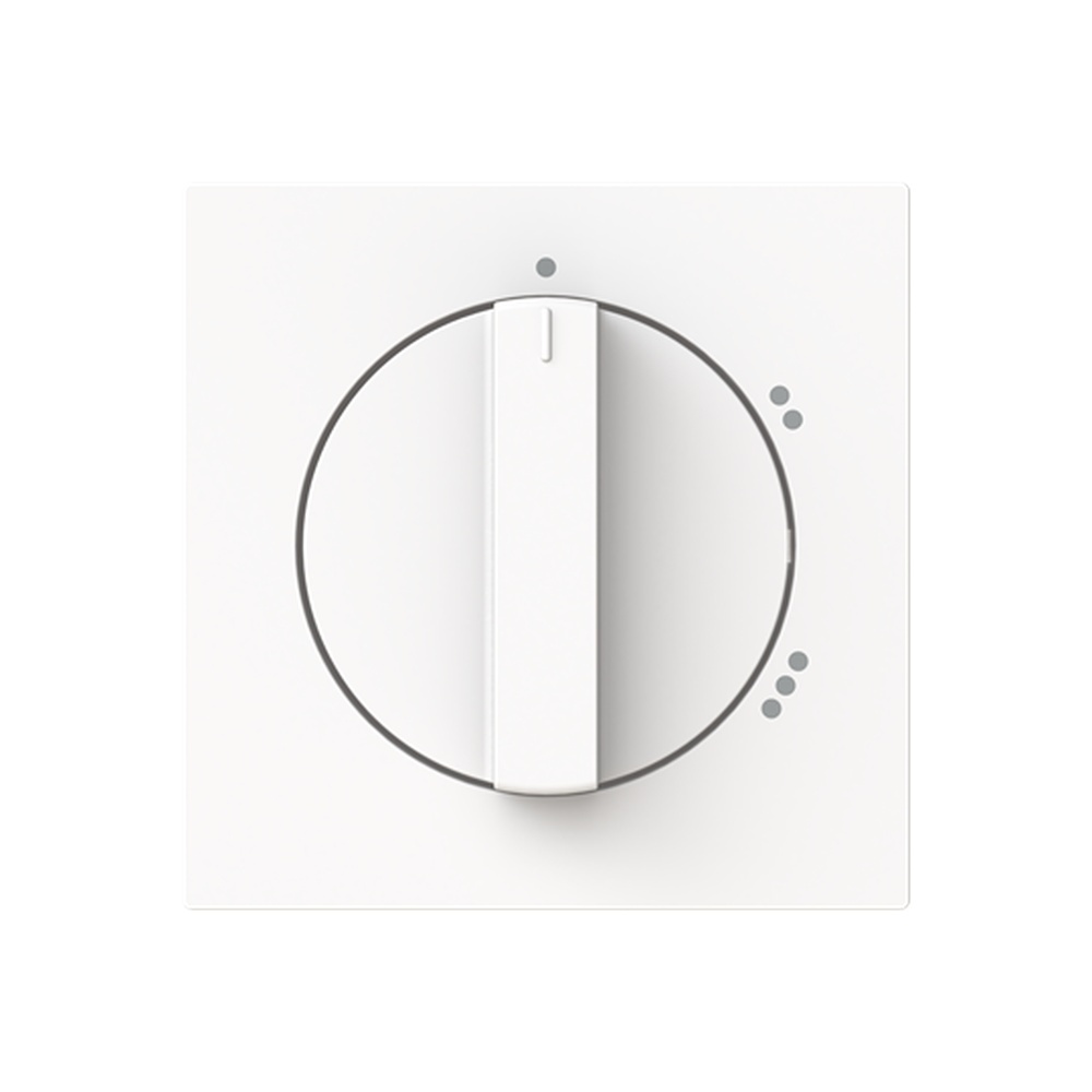 Busch-Jaeger Zentralscheibe 2542 DR/02-44M Typ 2CKA001710A4154