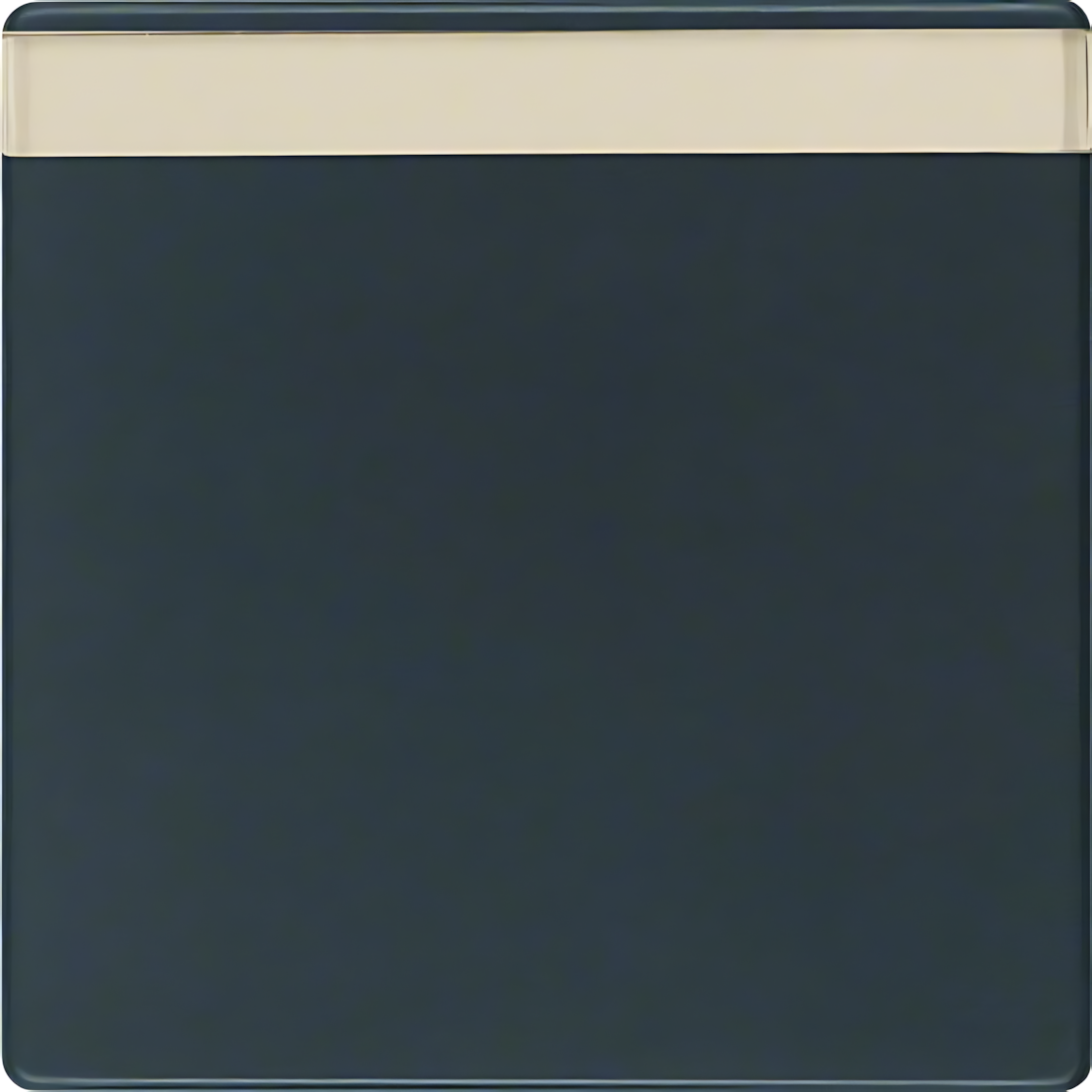 Berker Wippe 16266086 Berker Wippe 16266086