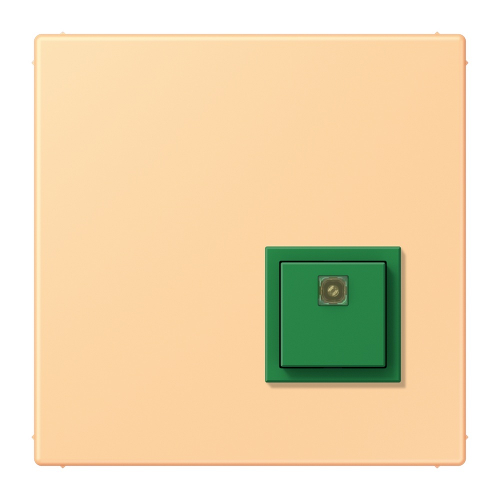 Jung Notrufsystem Abstelltaster NRSLC0834AT258