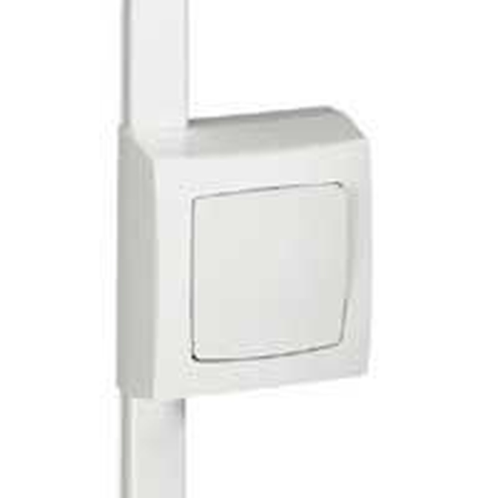 Legrand Rahmen 031409
