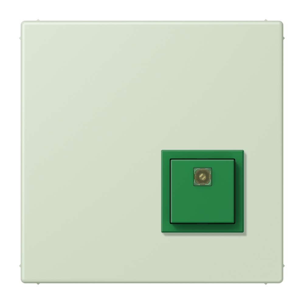 Jung Notrufsystem Abstelltaster NRSLC0834AT218