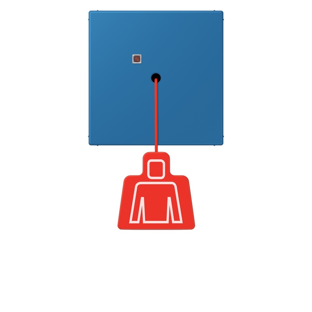 Jung Notrufsystem Zugtaster NRSLC0834ZT211