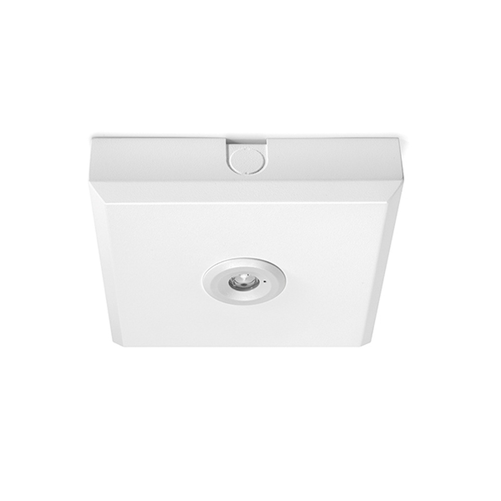 ESYLUX Notleuchte EN10080036 Typ ELH O LED SC SM weiß