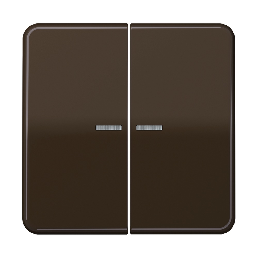Jung Wippe CD 595 KO5 BR