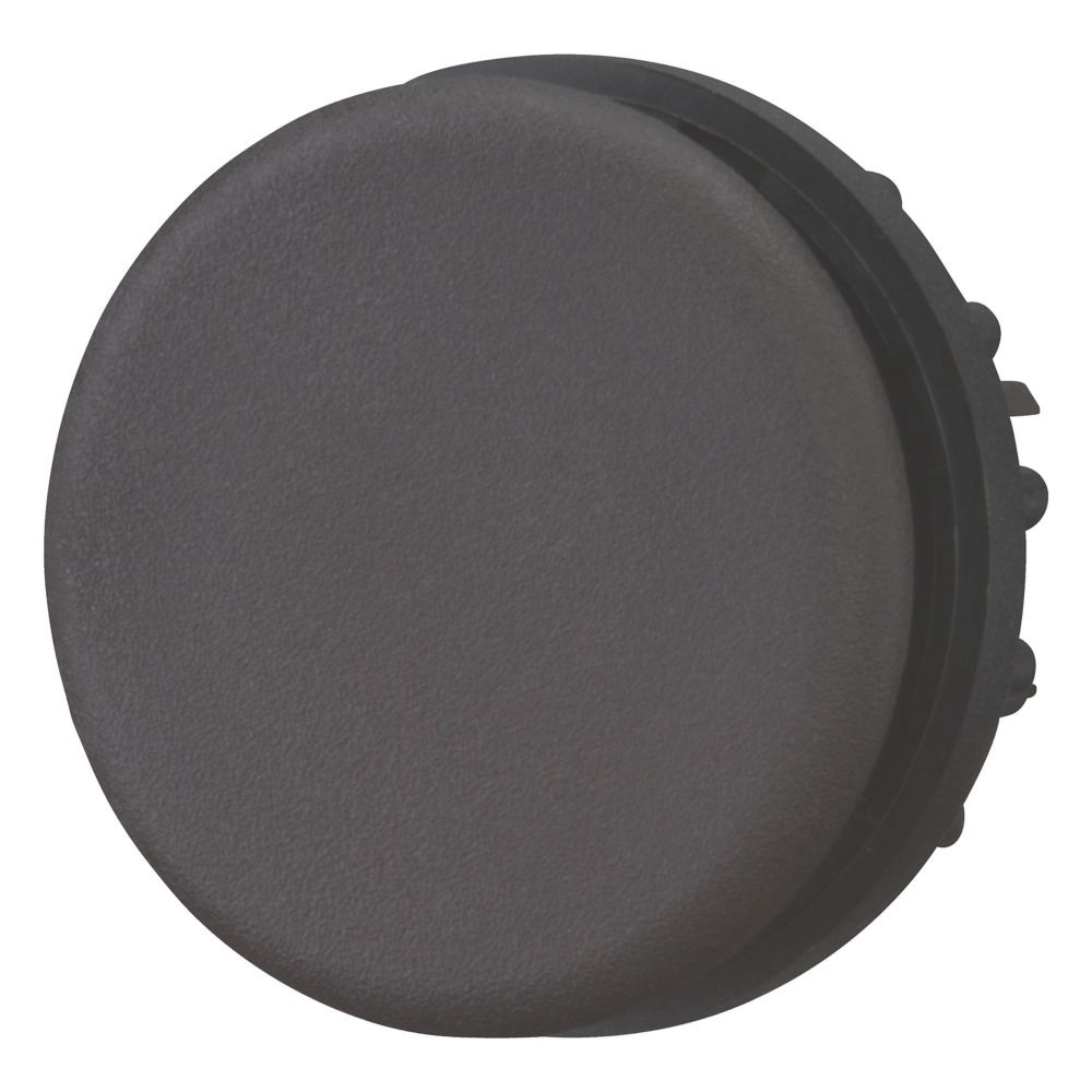 Eaton Blindverschluss 216391 Typ M22S-B-GVP