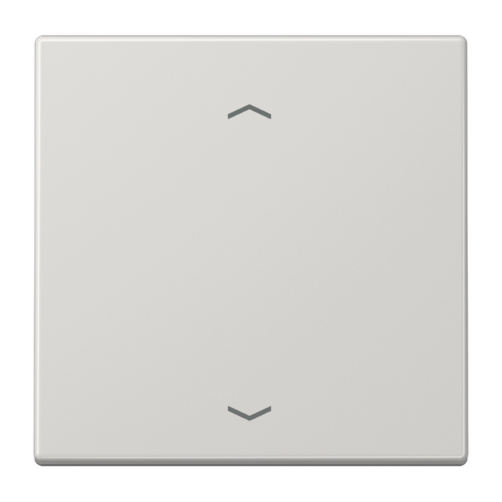 Jung Steuertaste LS1700PLG