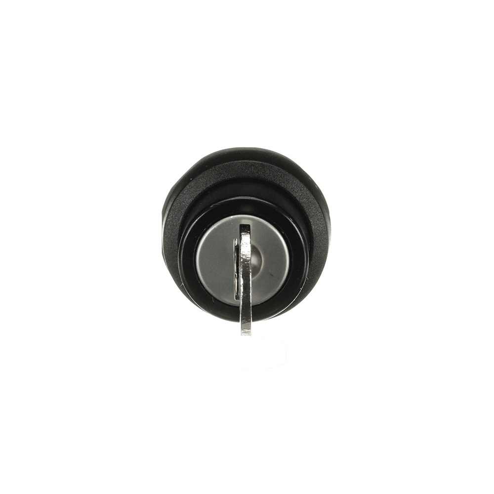 ABB Frontelement für Wahlschalter 1SFA611285R1001 Typ M3SSK3-101