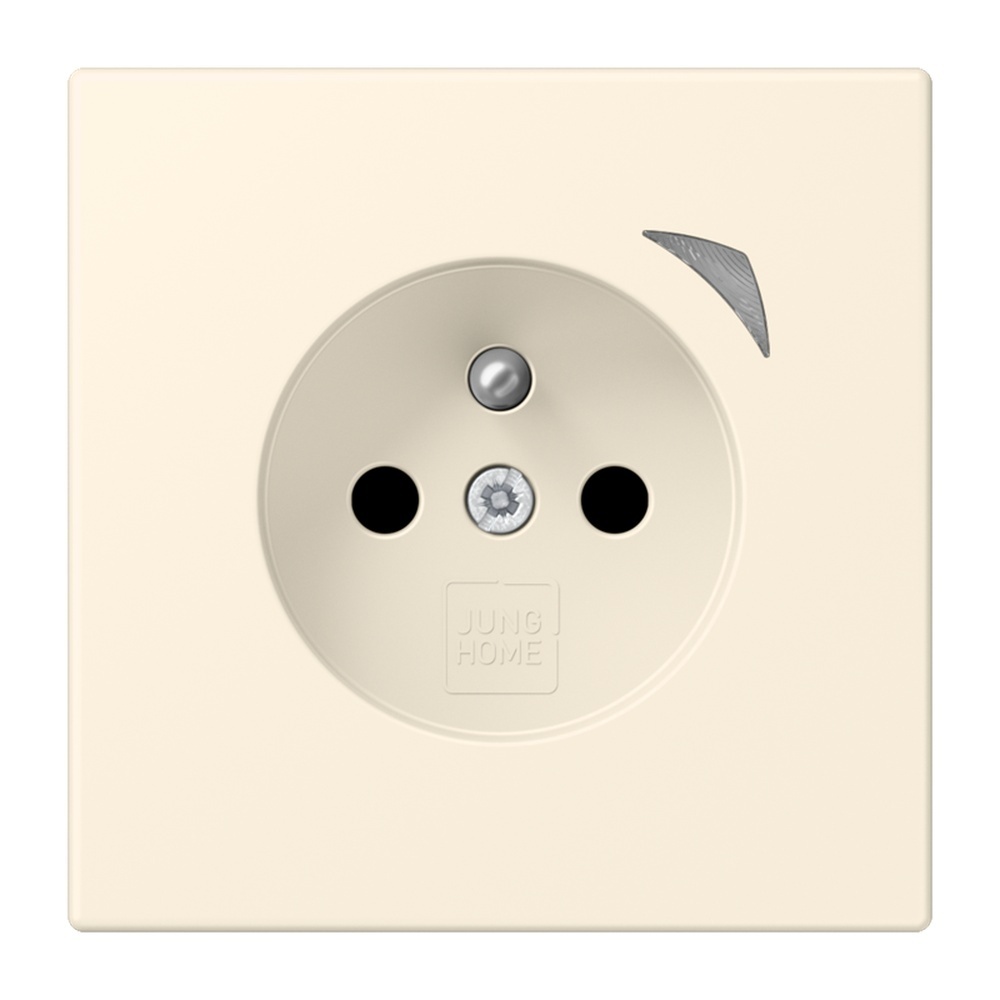 Jung Steckdose BTLC1521FS245