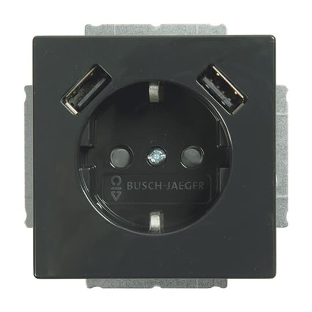 Busch-Jaeger Schuko USB Steckdose 20 EUCB2USB-81 Nr. 2CKA002011A6267