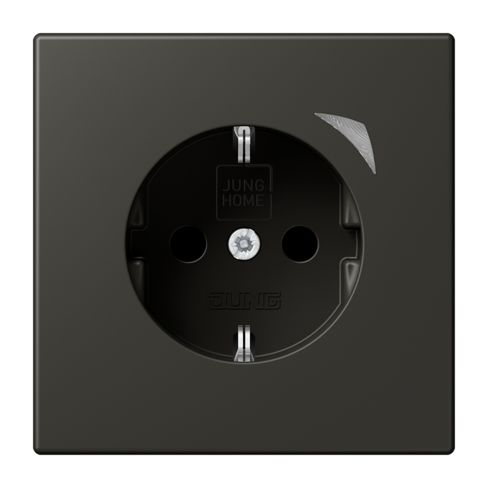 Jung JUNG HOME SCHUKO Steckdose BTLC1521S259