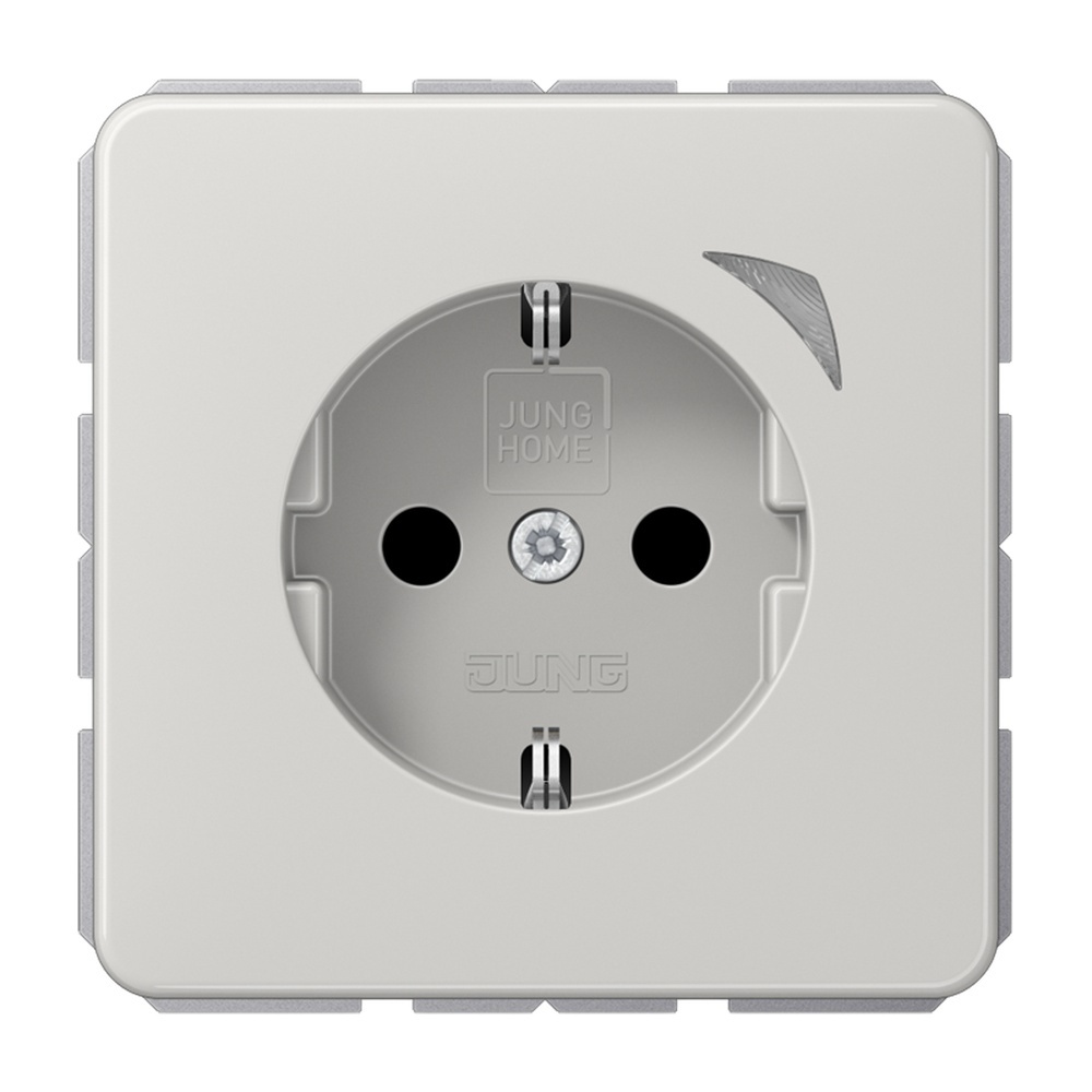 Jung JUNG HOME SCHUKO Steckdose BTCD1521SLG