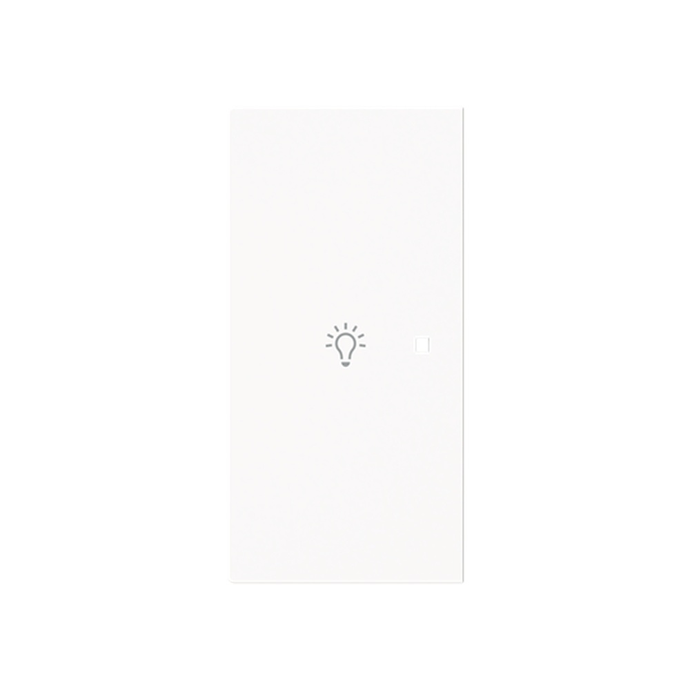 Busch-Jaeger Wippe 6231-21-44G Typ 2CKA006220A0948