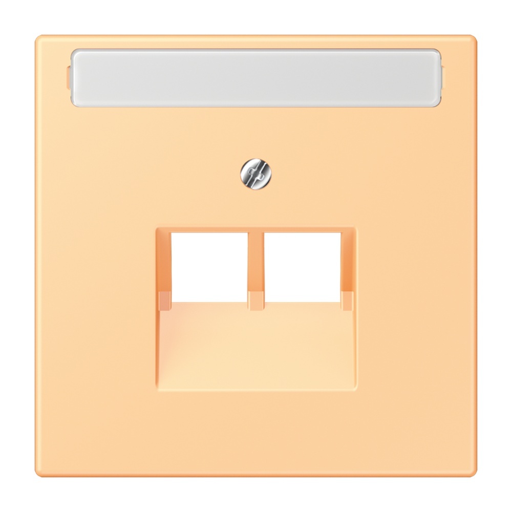 Jung Abdeckung LC969-2NAUA258