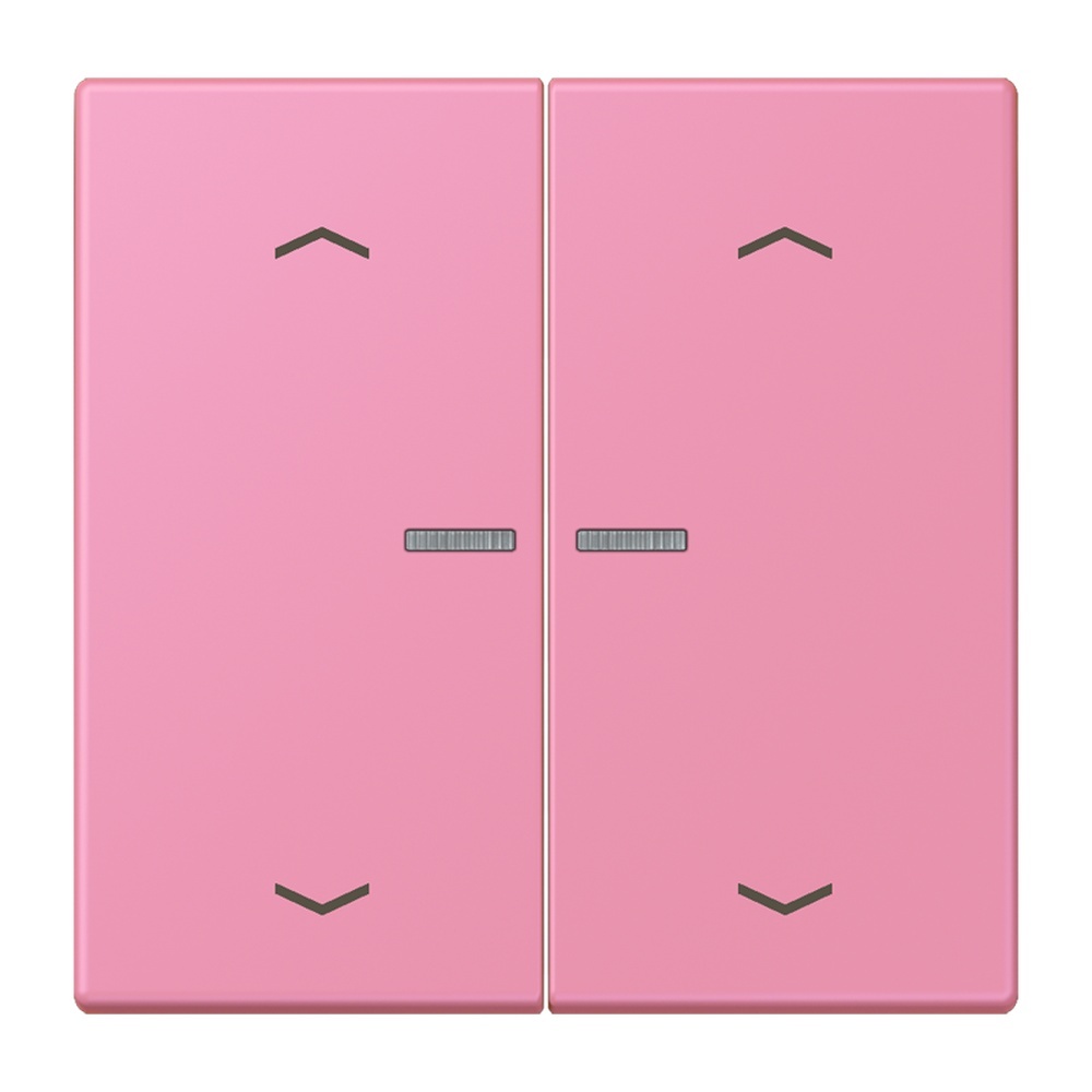 Jung JUNG HOME Taster BTLC17102P246