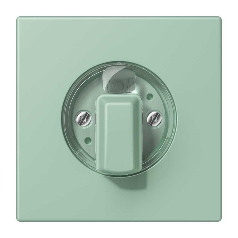 Jung Abdeckung LC1941217