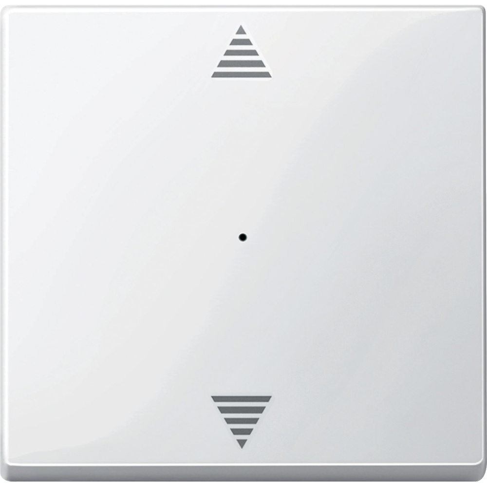 Schneider Electric Wippe MTN619419