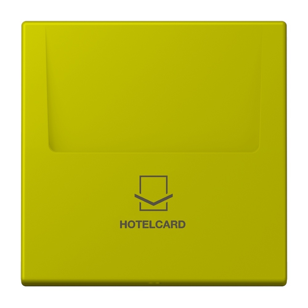 Jung Hotelcard Schalter LC590CARD249