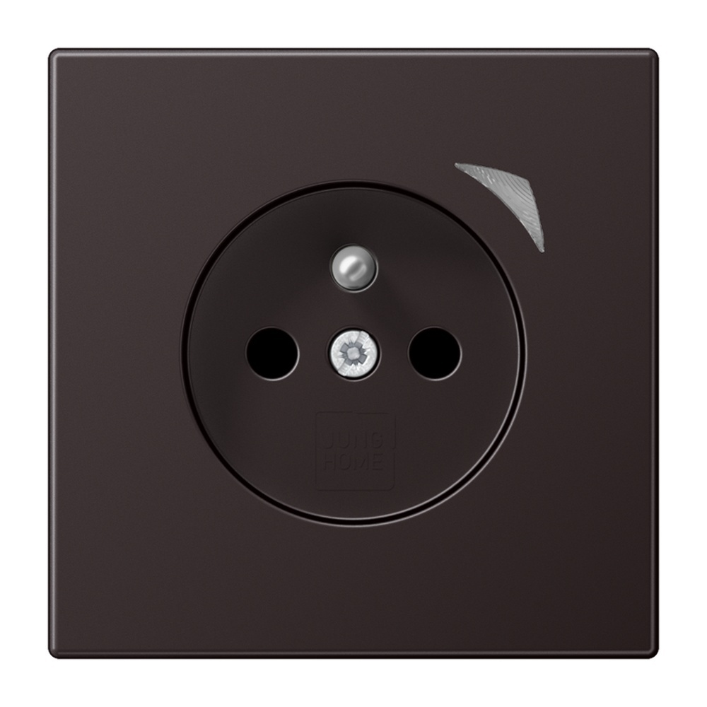 Jung JUNG HOME Steckdose BTAL1521FSD-L