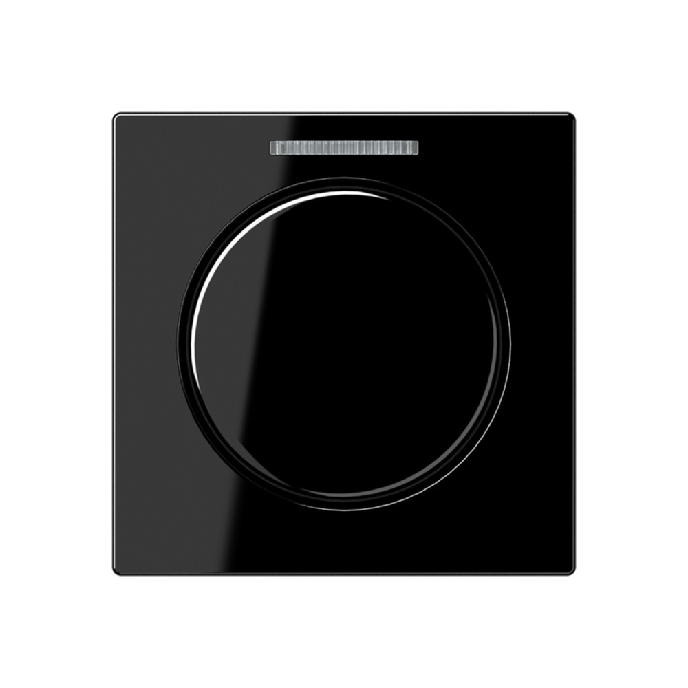 Jung Abdeckung Lichtleiter A 1540 KO5 SW