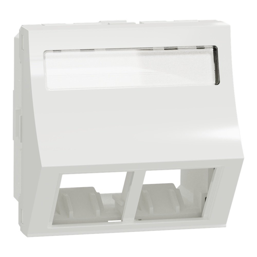 Schneider Electric Zentralplatte NU942418