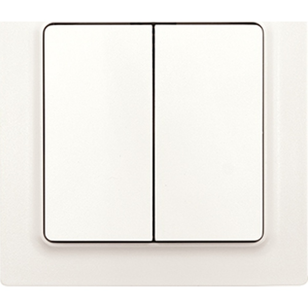 Eltako Wipptaster 30055762 Typ W2T55E-pm Eltako Wipptaster 30055762 Typ W2T55E-pm