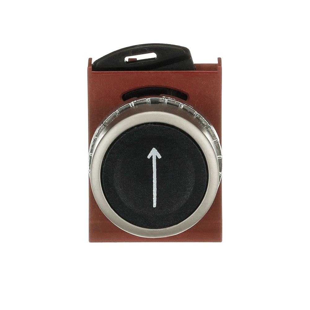 ABB Frontelement für Drucktaster 1SFA187117R9506 Typ P9MPNNG006